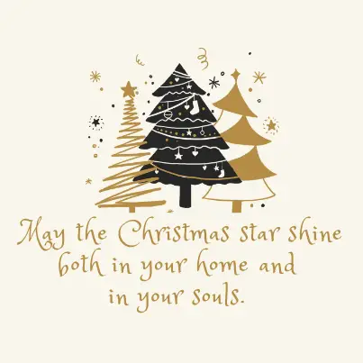 I Wish You a Merry Xmas - May the Christmas star shine in you home and in your souls.