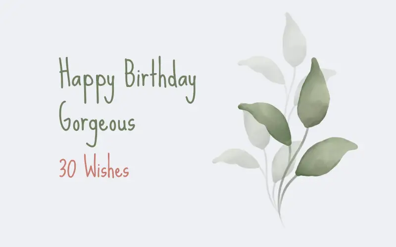 Happy Birthday Gorgeous - 30 Wishes