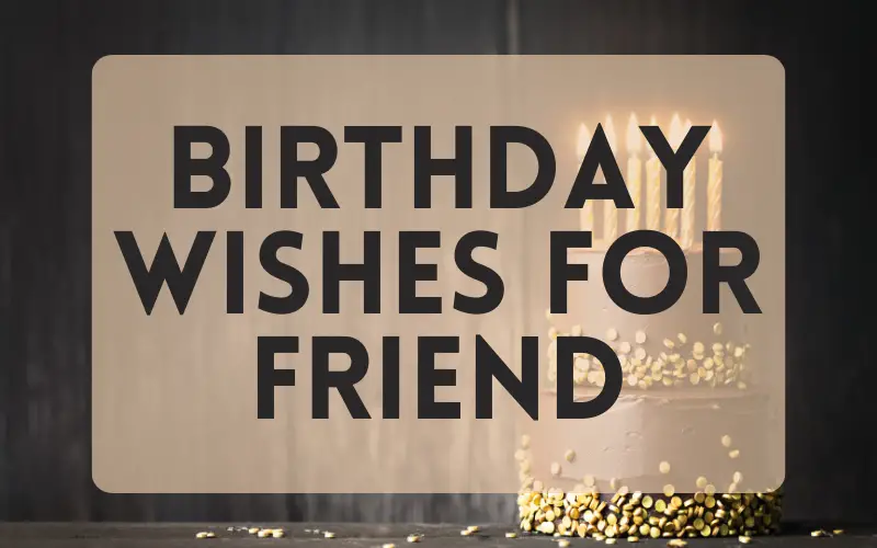 50 Unique Birthday Wishes for Friend