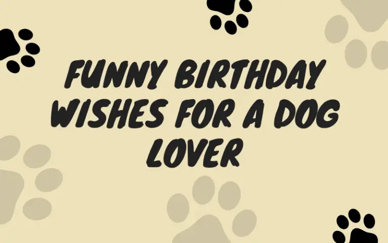 Funny Birthday Wishes for a Dog Lover