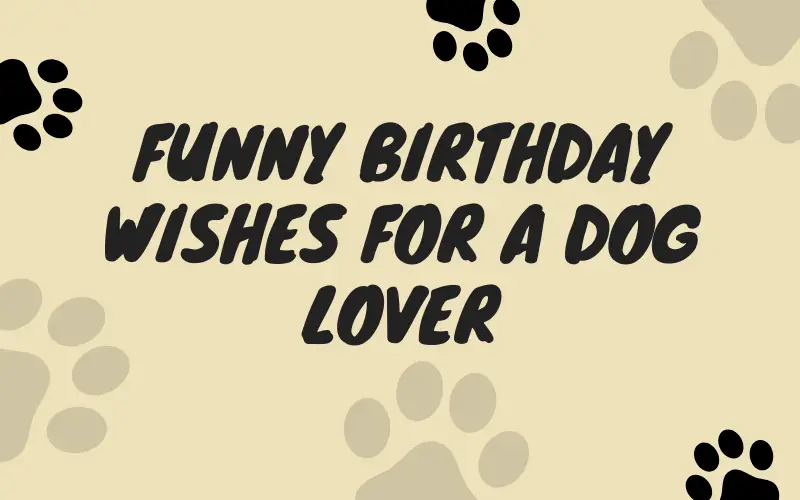 Funny Birthday Wishes for a Dog Lover