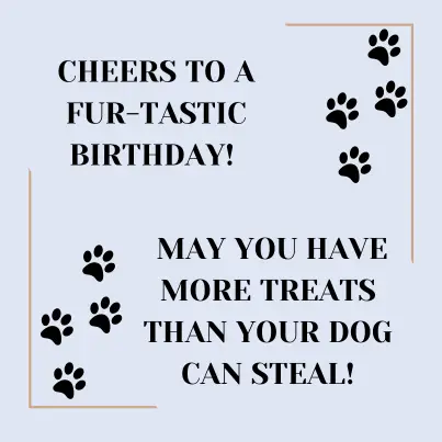 fun birthday wish for friend who loves dogs 