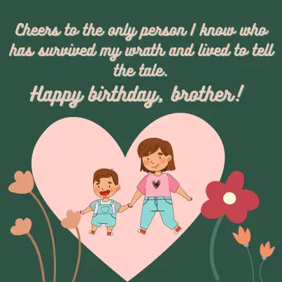 funny birthday wish for brother from sister