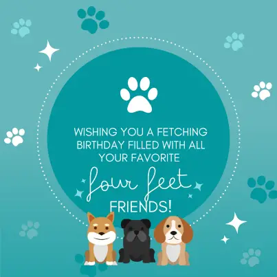 funny wish about four-legged friends