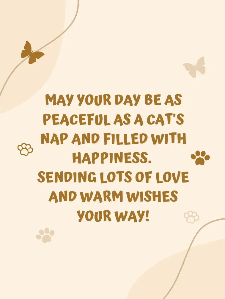 Birthday Messages for Cat Lovers