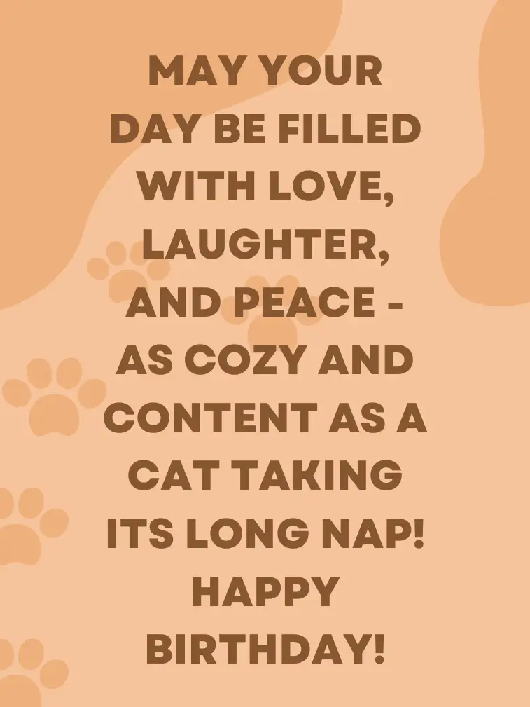 Birthday Wish for Someone Who Loves Cats