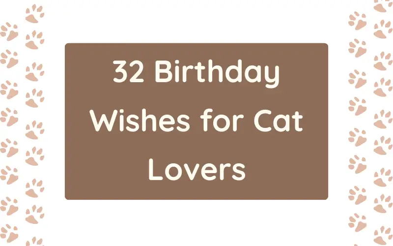 Birthday Wishes for Cat Lovers