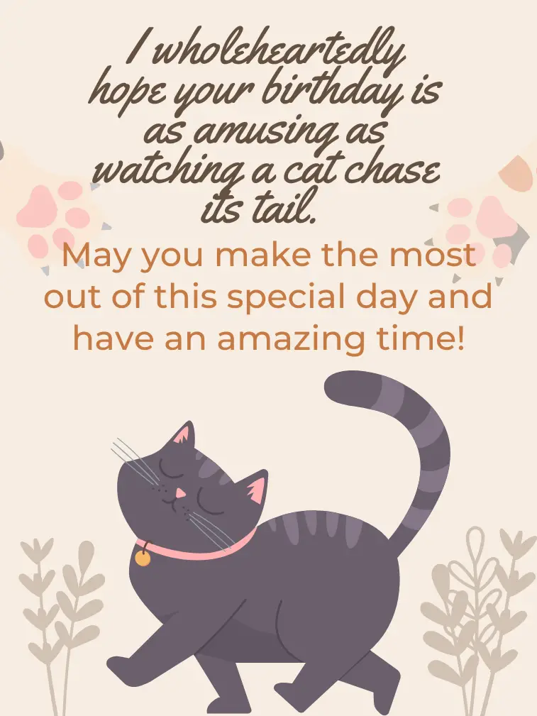 Cat Lover Birthday Wish