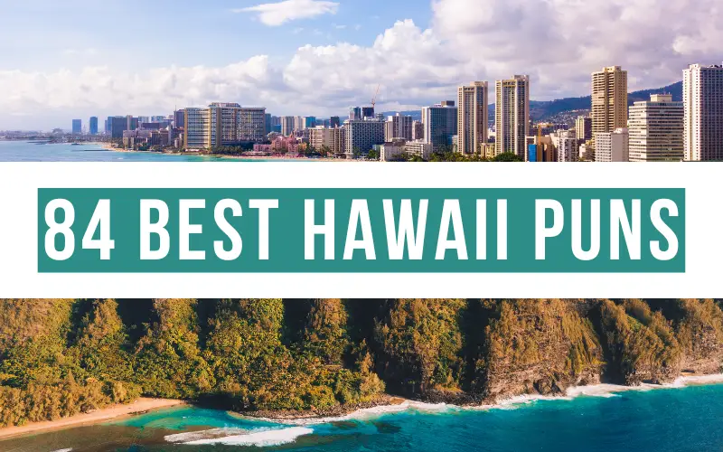 84 Best Hawaii Puns