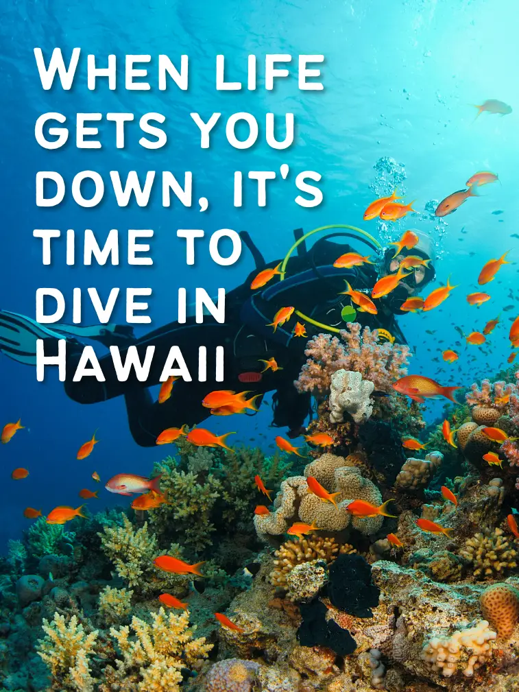 Hawaii Diving Puns