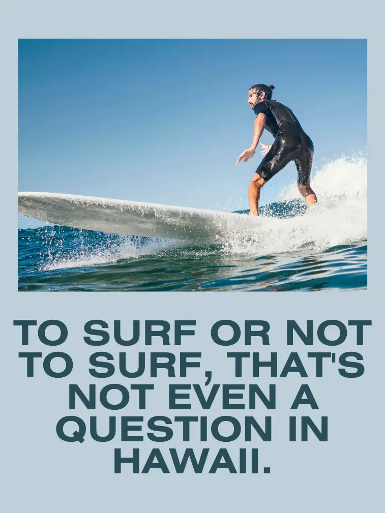 Hawaii Surfing Puns